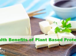 Health Benefits of Switching to a Plant Based Protein Diet Lean plant protein
