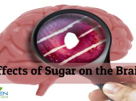 Effects of sugar on the brain